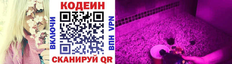 цены наркотик  Заозёрск  Кодеиновый сироп Lean напиток Lean (лин) 